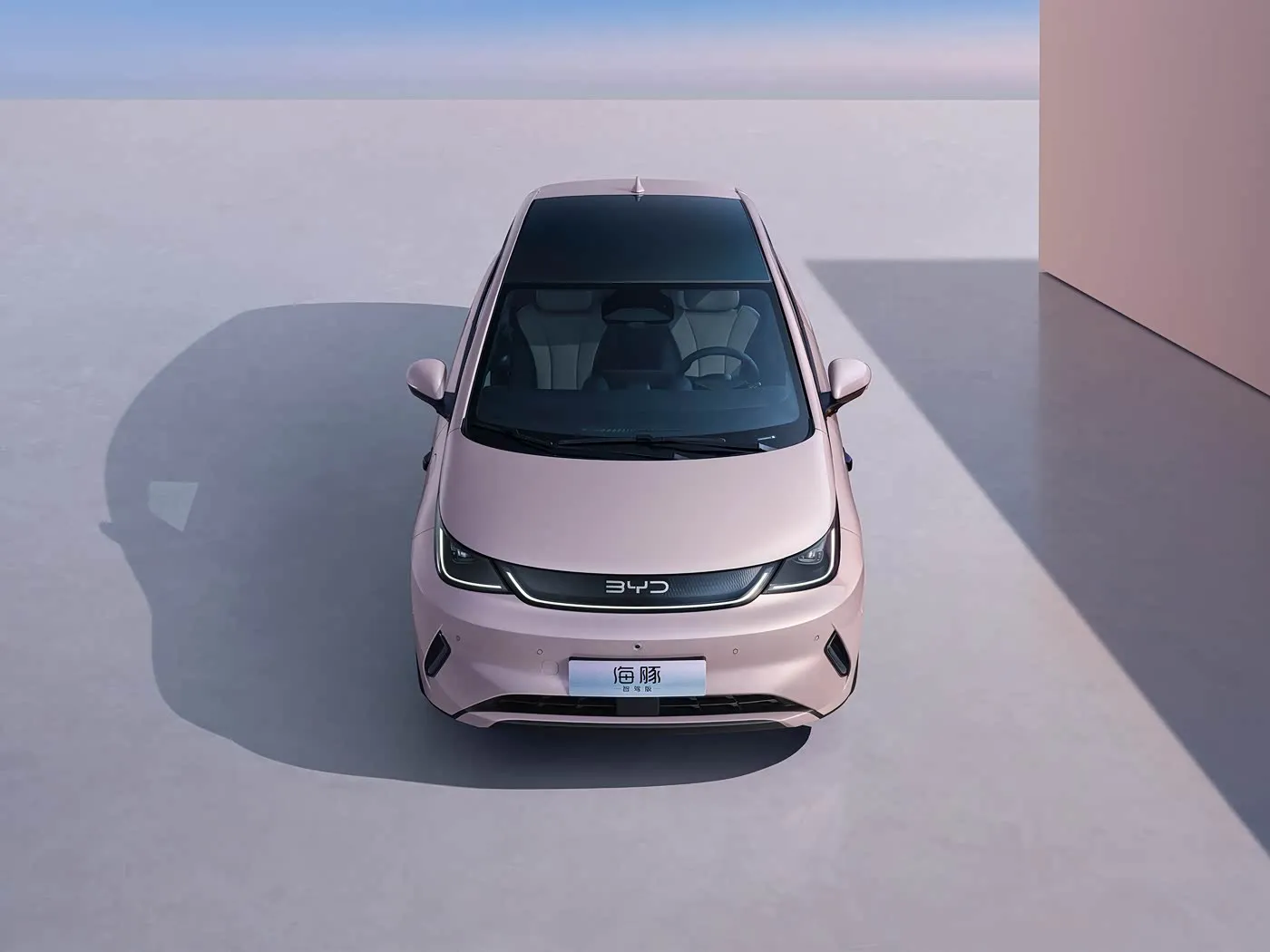 Мини-электрический хэтчбек BYD Dolphin Urban Style Fashion Edition с интеллектуальными технологиями, автомобиль на новой энергии